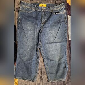 Christopher & Banks Petite Blue Jeans